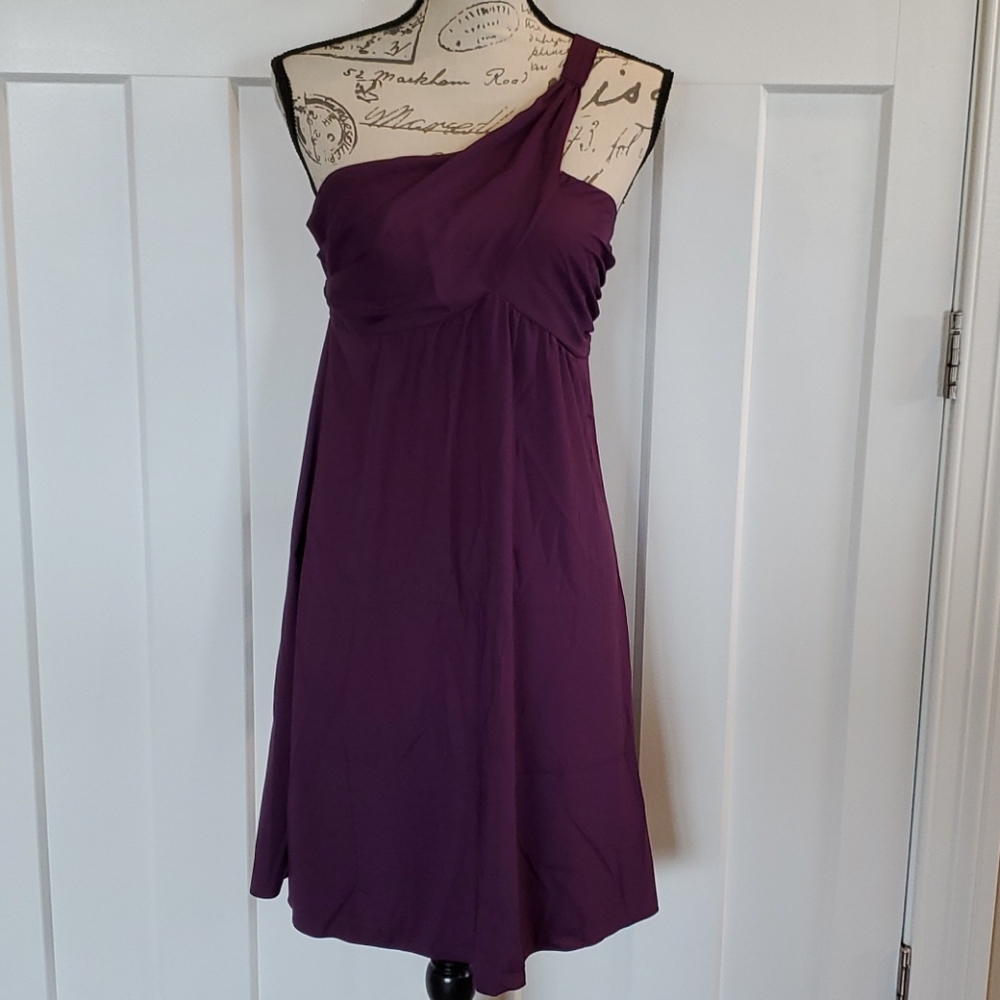 The Limited Pretty people one strap dress